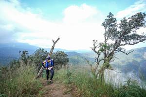 BIB: 
                            <button type="button" onclick="openModal(22372261)" class="btn btn-primary btn-sm float-right btn-popup" data-toggle="modal" data-target=".modal-high-quality">
                        <i class="fas fa-shopping-cart"></i> Add to Cart
                    </button>
                                            <button type="button" onclick="isThisMe(22372261, true)" class="btn btn-success btn-sm float-right btn-popup btn-isme hidden" data-toggle="tooltip" data-placement="bottom" title="นี่คือรูปของคุณใช่ไหม คลิกที่นี่เพื่อเอาเข้าอัลบั้ม">
                        <i class="fas fa-plus"></i> Add to album
                    </button>
                    <button type="button" onclick="isThisMe(22372261, false)" class="btn btn-warning btn-sm float-right btn-popup btn-isnotme hidden">
                        <i class="fas fa-ban"></i> Remove from album
                    </button>